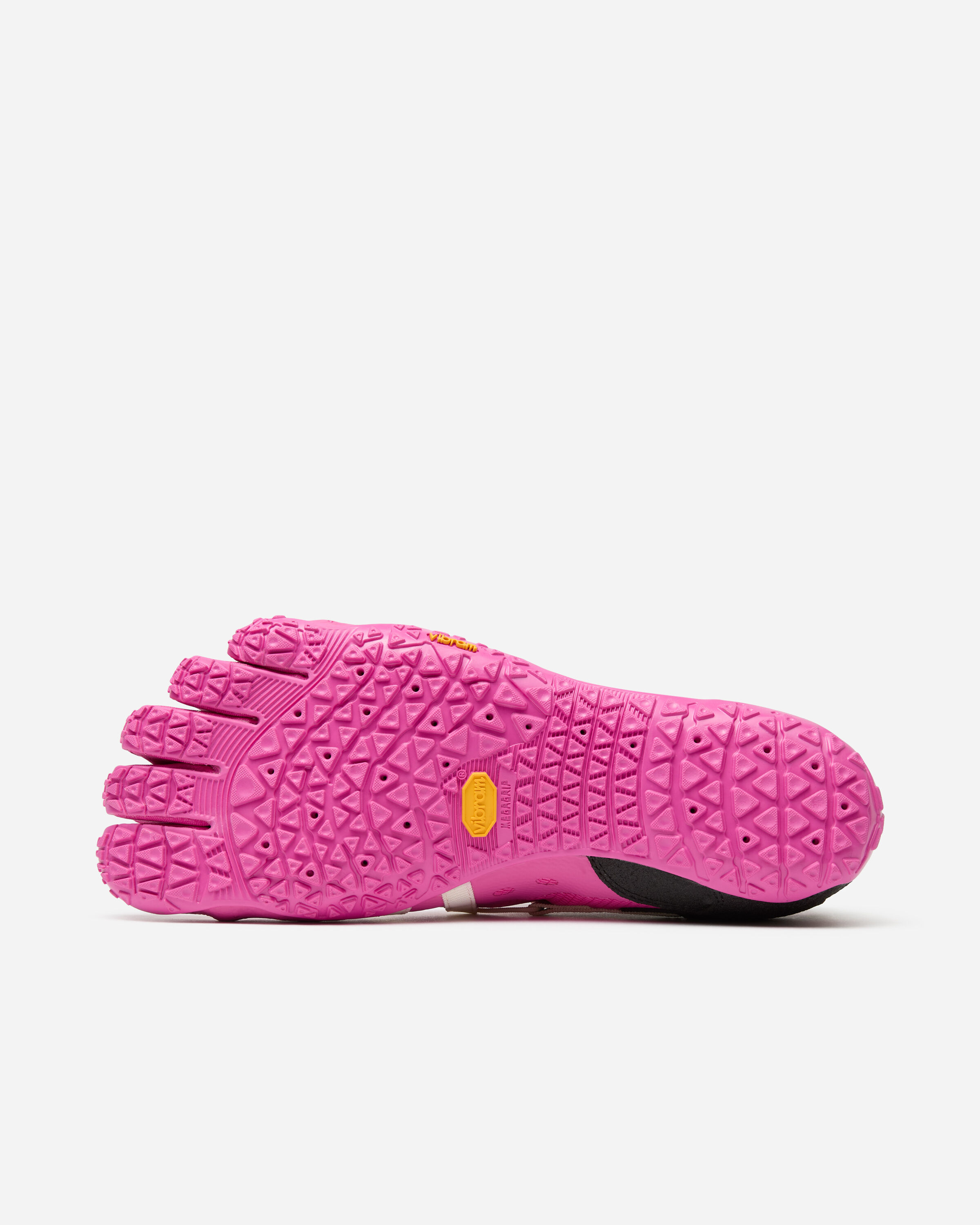 Spidrwalk